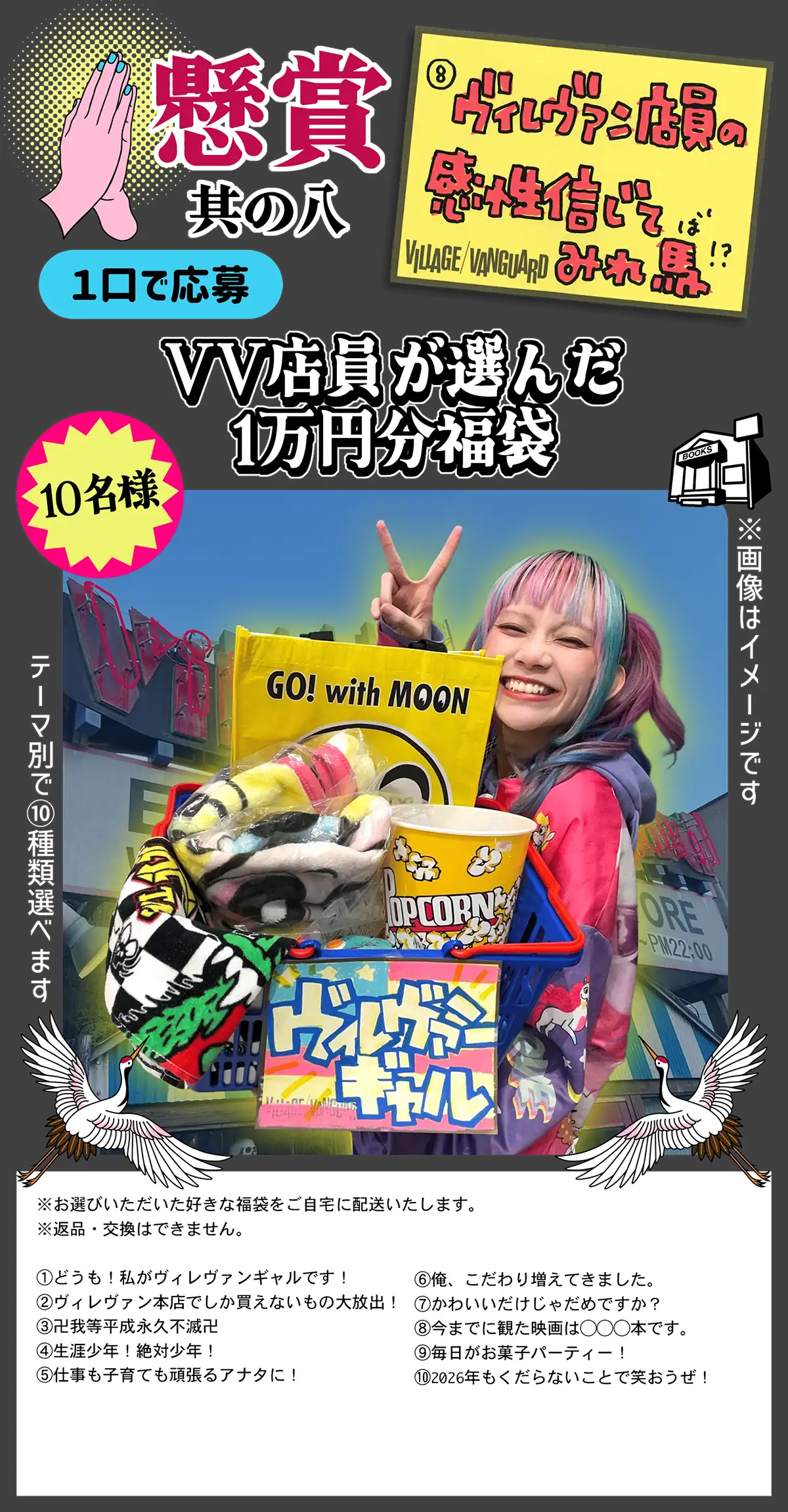 懸賞其の八 ヴィレヴァン店員の感性信じてみれ馬！？ VV店員が選んだ1万円分福袋