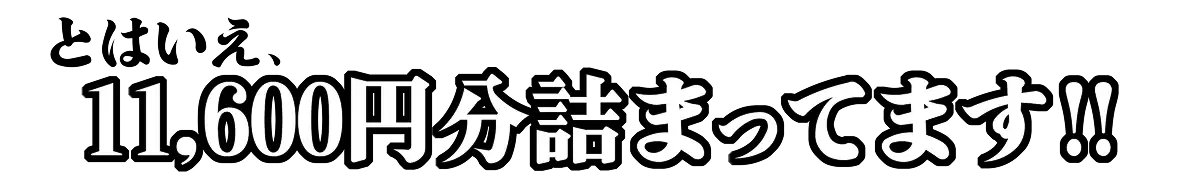 とはいえ、11,600円分詰まっています!!