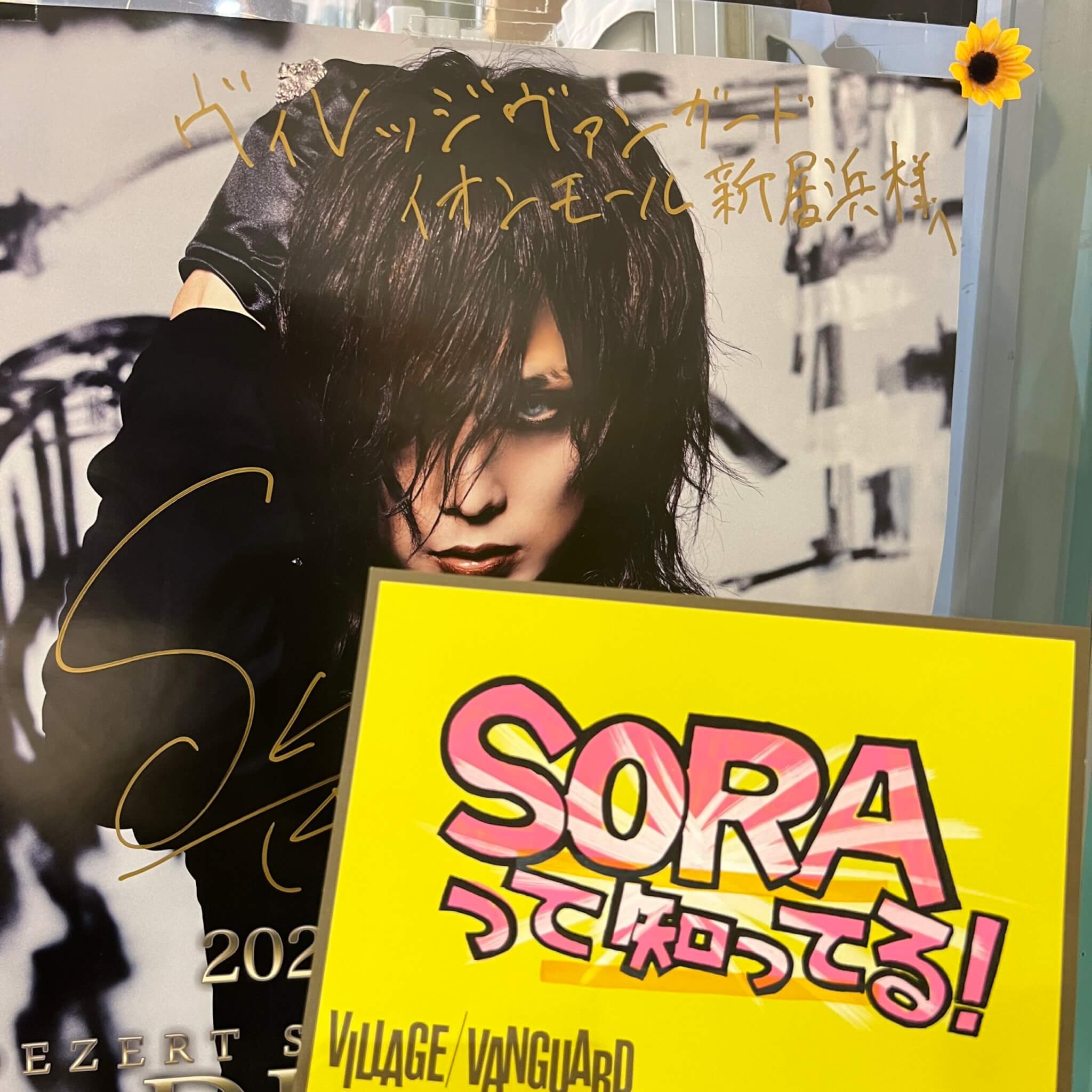 DEZERT】SORAって知ってる！ | 店員の日常 | ヴィレッジヴァンガード